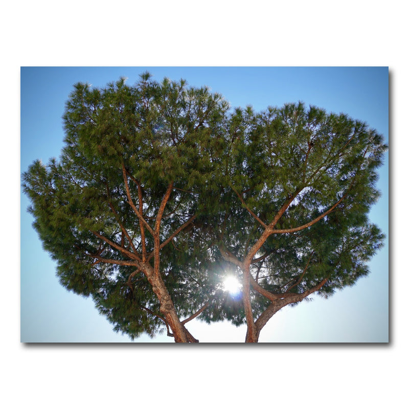 AUTO-MOCKUP WHITE | Rome, Italy | 1 Piece | Gallery Wrap Canvas | group=4x3