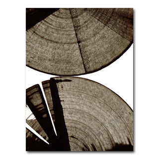 AUTO-MOCKUP WHITE | Rounds | 1 Piece | Gallery Wrap Canvas | group=3x4