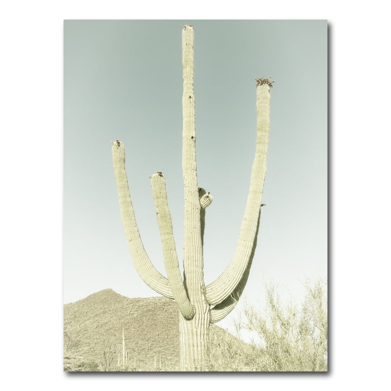 AUTO-MOCKUP WHITE | SAGUARO NATIONAL PARK Giant Saguaro | 1 Piece | Gallery Wrap Canvas | group=3x4
