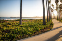 Santa Barbara Bike Path Wall Art