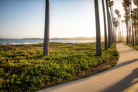 Santa Barbara Bike Path Wall Art