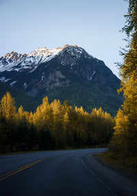 Scenic Drive Wall Art