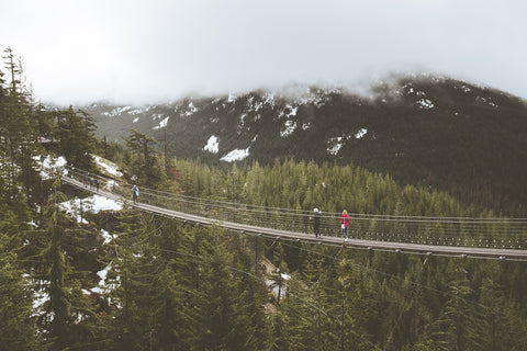 Sea to Sky Suspension Bridge Canada Wall Art