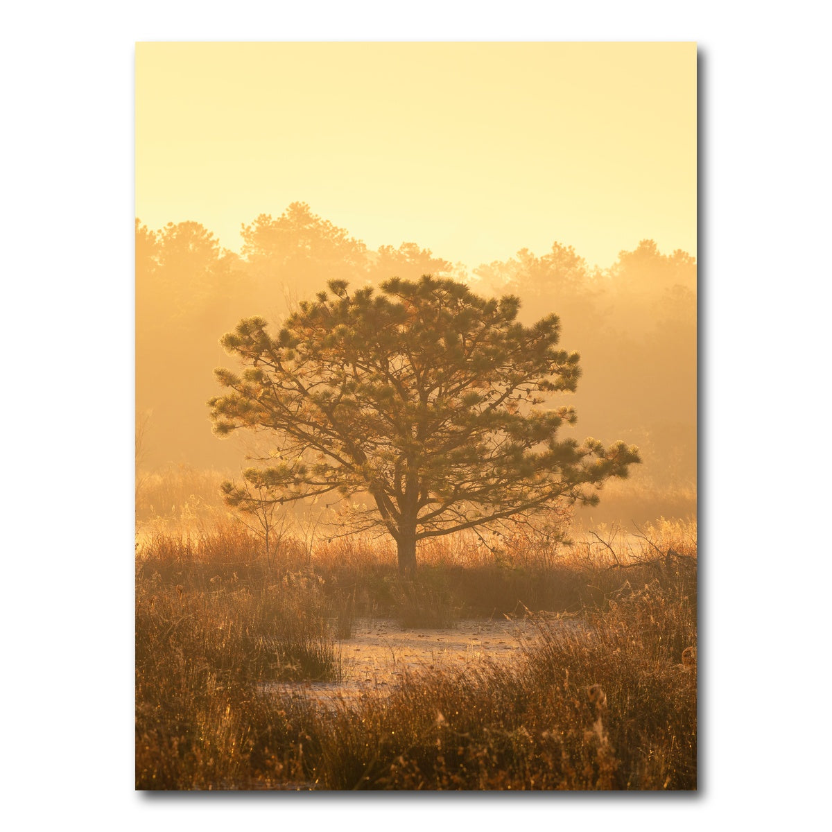 AUTO-MOCKUP WHITE | Serengeti | 1 Piece | Gallery Wrap Canvas | group=3x4