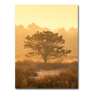 AUTO-MOCKUP WHITE | Serengeti | 1 Piece | Gallery Wrap Canvas | group=3x4
