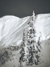 Shames Mountain 3 Wall Art