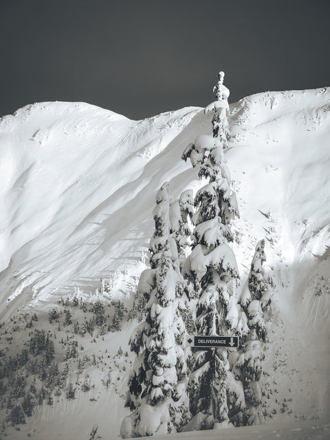 Shames Mountain 3 Wall Art