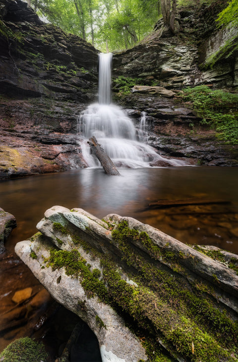 Sheldon Reynolds Falls Wall Art