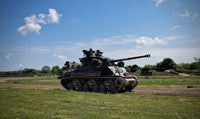 Sherman Fury Wall Art