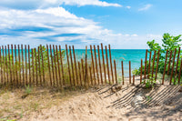 Shoreline with Fence in Evanston Wall Art