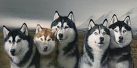 Siberian Wall Art