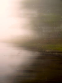 Silhouette in the Fog Wall Art