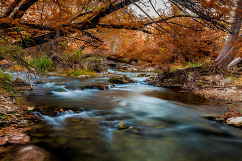 Silky Guadalupe River Wall Art