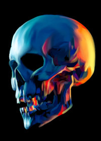 Skull Shine Wall Art