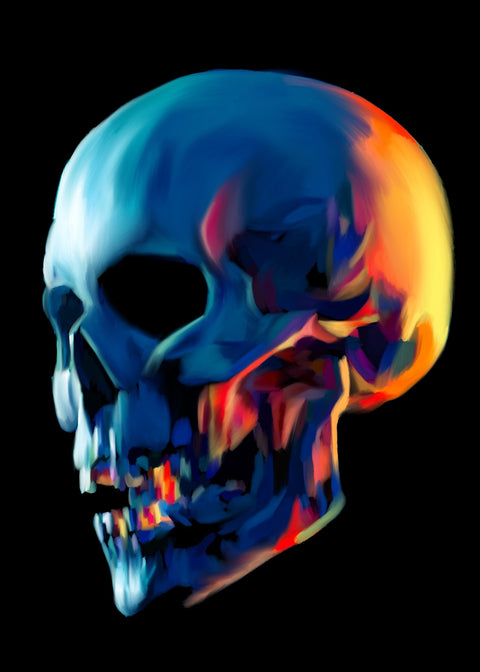 Skull Shine Wall Art