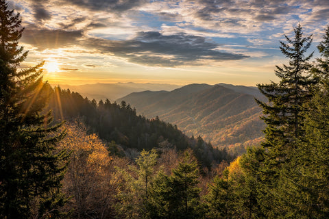 Smoky Mountains Wall Art