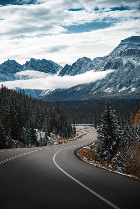 Snow Drive Wall Art