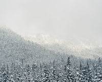Snowy Mountains Wall Art