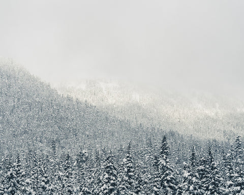 Snowy Mountains Wall Art