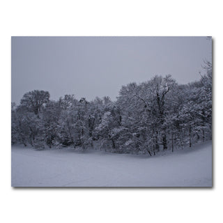 AUTO-MOCKUP WHITE | Snowy Stroll | 1 Piece | Gallery Wrap Canvas | group=4x3