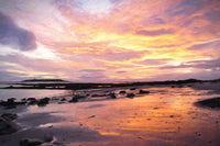 Soft Golden Sunrise Wall Art
