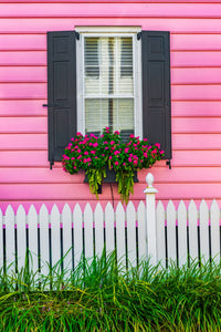 Southern Charm Wall Art