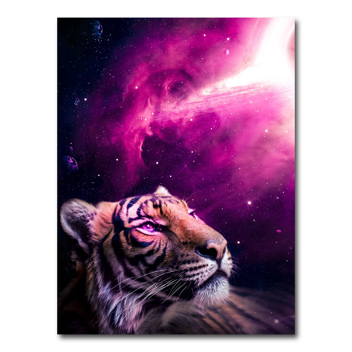 AUTO-MOCKUP WHITE | Space tiger | 1 Piece | Gallery Wrap Canvas | group=3x4