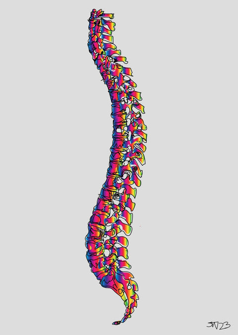 Spine Drawing Wall Art
