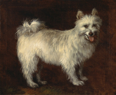 Spitz Dog Wall Art