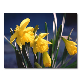 AUTO-MOCKUP WHITE | Spring Bloom | 1 Piece | Gallery Wrap Canvas | group=4x3