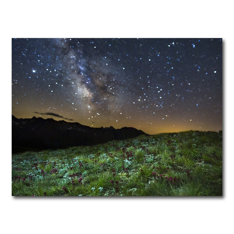 AUTO-MOCKUP WHITE | Star Studded Edelweiss and Joubarbe | 1 Piece | Gallery Wrap Canvas | group=4x3