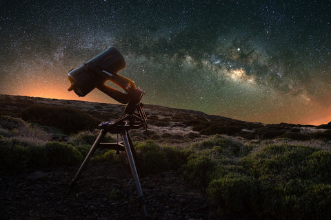 Stargazer Wall Art