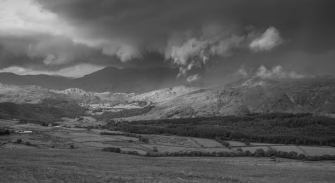 Stormy Fields Wall Art