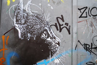 Street art cat Wall Art