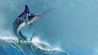 Striped marlin on sea Wall Art