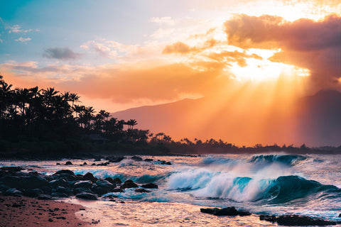 Sunset Paradise Wall Art