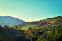Sunshine on Magura Romania 3 Wall Art