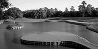 TPC Sawgrass Grayscale Wall Art