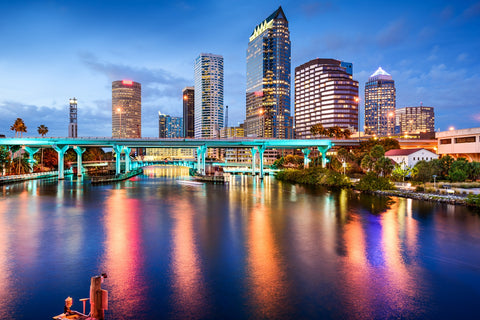 Tampa Bay Wall Art