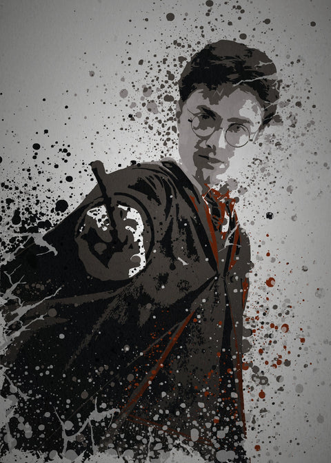 The Boy Who Lived Wall Art