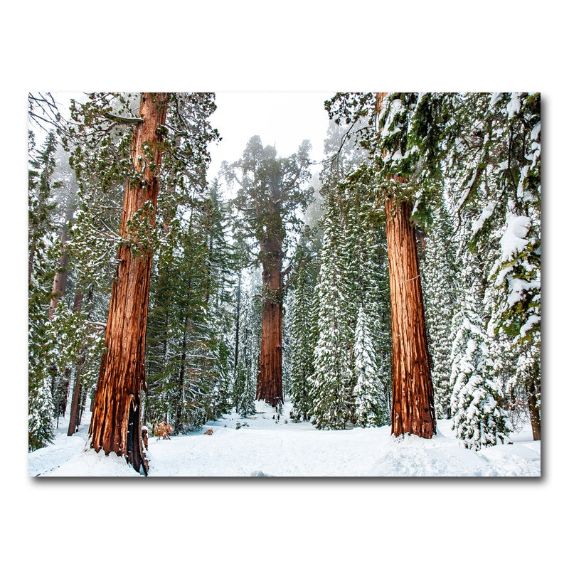 AUTO-MOCKUP WHITE | The General | 1 Piece | Gallery Wrap Canvas | group=4x3