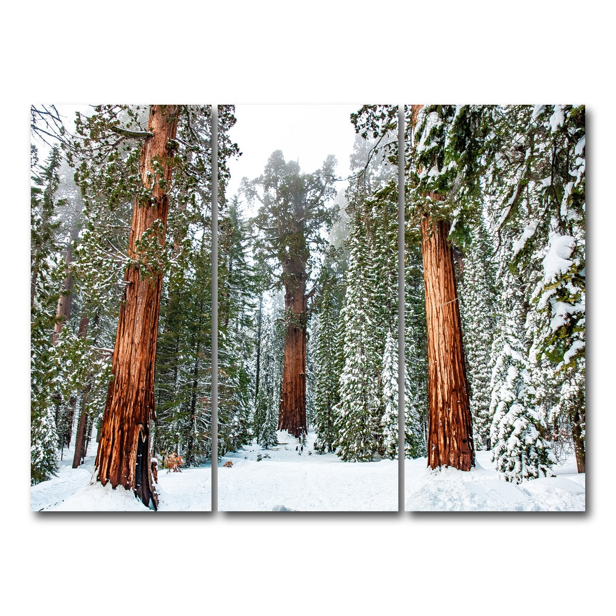 AUTO-MOCKUP WHITE | The General | 3 Piece | Gallery Wrap Canvas | group=8x18