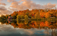 The O'l Red Mill Wall Art