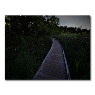 AUTO-MOCKUP WHITE | The Quiet Forward | 1 Piece | Gallery Wrap Canvas | group=4x3