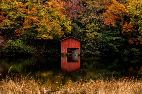 The Red Boat House Wall Art