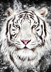 The tiger Wall Art