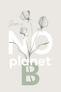 There is no planet B Wall Art