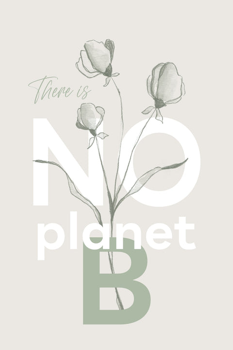 There is no planet B Wall Art
