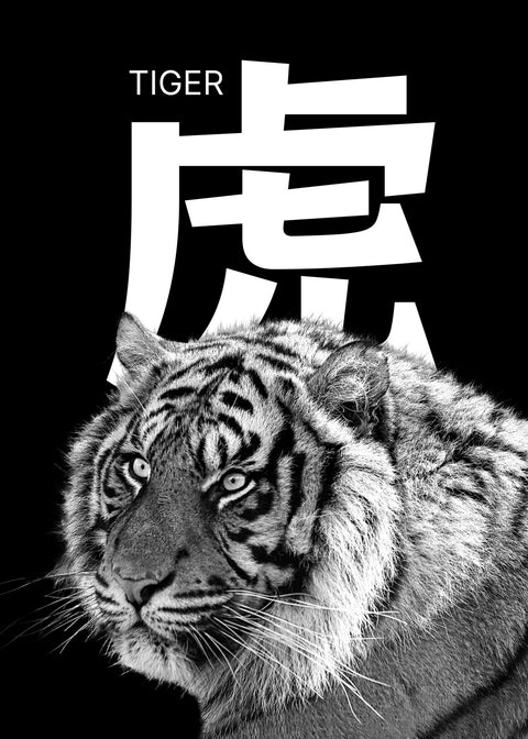 Tiger Head Wall Art