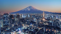 Tokyo City Wall Art